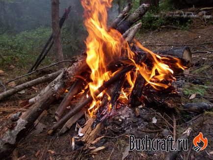 Пожар във влажна гора, тайгата е моят дом