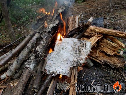 Багаття в сирому лісі, мій будинок тайга