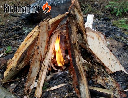 Bonfire în pădurea umedă, casa mea din taiga