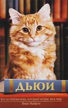 Кот книги