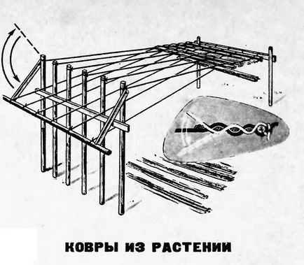 Килими з рослині