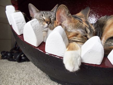 Ліжко для кішки з СуперМаріо, pro handmade