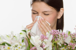 Лікування алергічного риніту народними засобами основи і способи (відео)