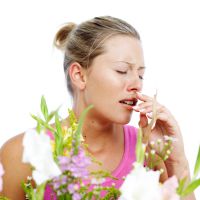 A gyógymód allergia parlagfű (parlagfű allergia gyógyszerek) A gyógymód allergia parlagfű