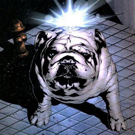 Lockjo (lockjaw)