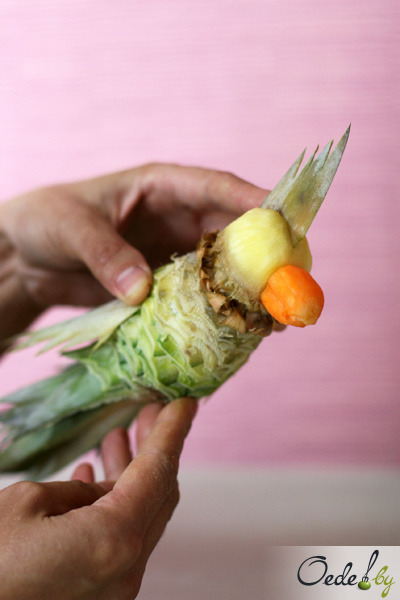 Майстер-клас «папужка з ананаса»
