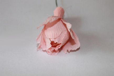 Master-clasa bile Kusudama - noi de lucru în secțiunea 