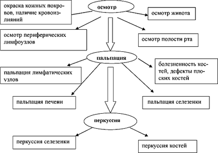 Методика обстеження органів кровотворення алгоритм обстеження рис