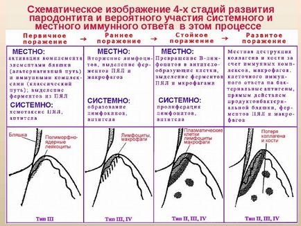 Microbiologie, Virologie și Imunologie a Boli Orale Odesa