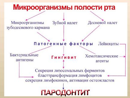 Мікробіологія, вірусологія та імунологія захворювань порожнини рота одеський