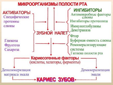 Мікробіологія, вірусологія та імунологія захворювань порожнини рота одеський