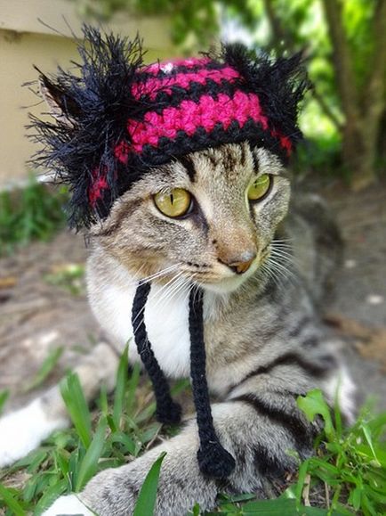 Pălărie frumoasă pentru pisica ta preferată