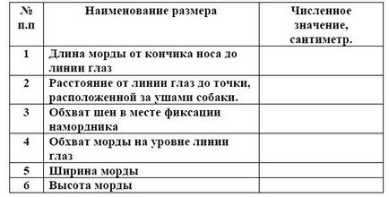 Мій друг - ротвейлер - підбираємо намордник за розміром