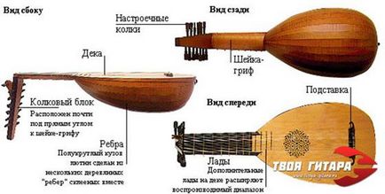 Instrumente muzicale lute