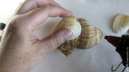 A memória mester tenger kutya gyermek kagylókból - Fair Masters - kézzel készített, kézzel készített (kagylók) A memória mester tenger kutya gyermek kagylókból - Fair Masters - kézzel készített, kézzel készített