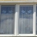A kerítés (korai fejlesztés) a kerítés