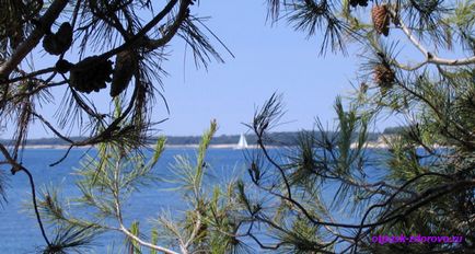 Croația Parcul Național Brioni Island