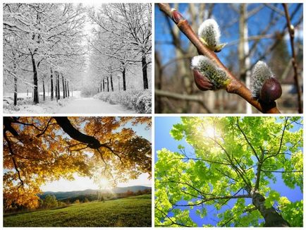 Numele lunilor de iarnă, de primăvară, de toamnă și de vară asociate fenomenelor de viață și de natură neînsuflețită