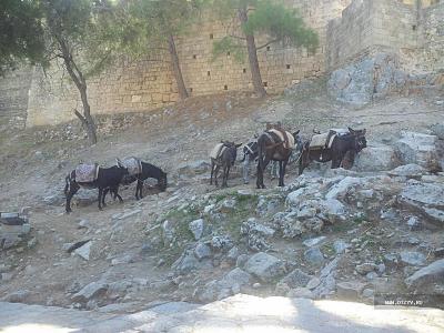 O călătorie scurtă pe insula Rhodos sau cum am căutat cu copiii cavalerii)))