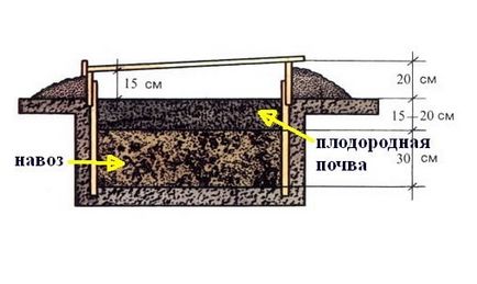 Încălzirea serii cu propriile mâini modurile de încălzire a solului și aerului în timpul iernii și primăverii