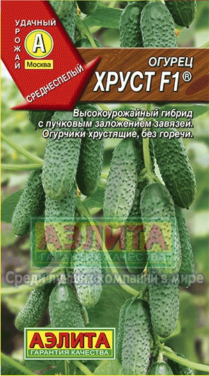 Frunzele de castravete f1® cumpara en-gros si cu amanuntul semintele de castravete de la producator