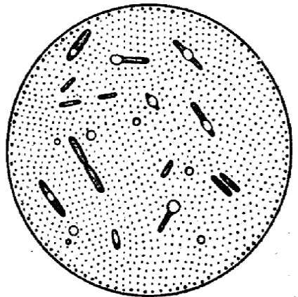 Colorarea microorganismelor rapide acide