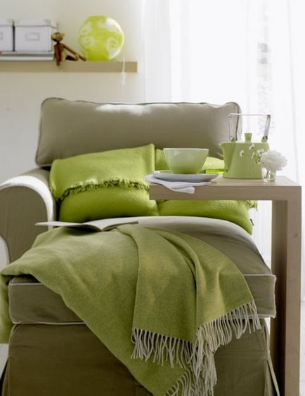 Culoare de măsline în locuințe moderne, lux și confort