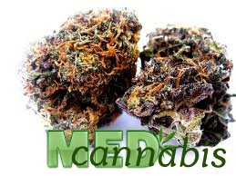 Descrierea gradului violet kush, med cannabis