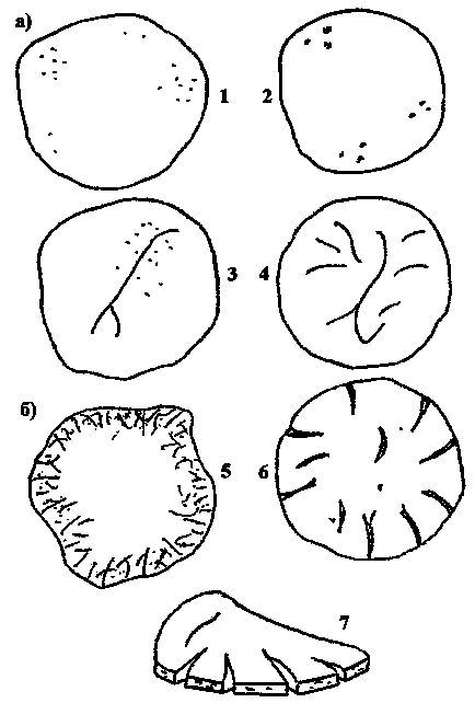 Determinarea timpului de setare a testului de ciment