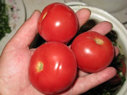 Оригінальний рецепт засолювання помідорів