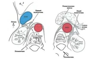 Testul ortostatic al glandelor suprarenale - indicații, comportament, rezultate