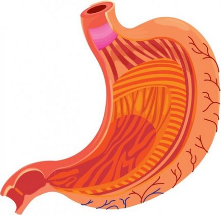 Complicații din tractul gastrointestinal la diabet