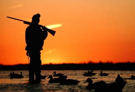Caracteristicile vânătorii cu o rață de rață de casă, nogavka, alegeți o drumeție, vânătoare și pescuit