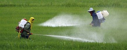 Отруєння пестицидами симптоми, перша допомога, наслідки