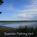 Озеро Липівське (курголово)