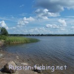 Lake Lipovskoe (Kurgolovo)
