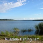 Lake Lipovskoe (Kurgolovo)