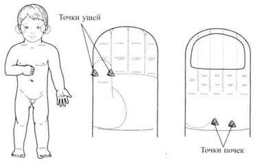 Tratamentul pentru semințe de pădure - pagina 8