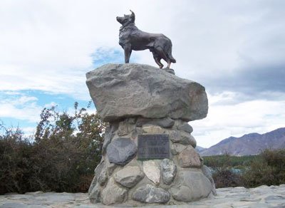 Monumente în onoarea collie de frontieră