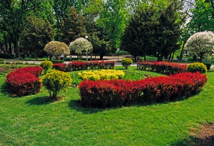 Parcul din amara (grădina orașului) Krasnodar