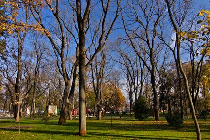 Parcul din amara (grădina orașului) Krasnodar