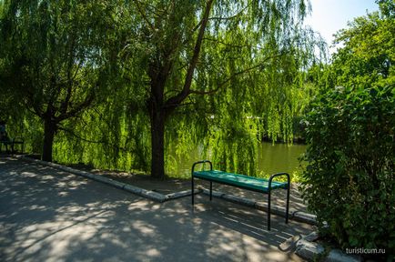 Parcul Lukomorye - Parcul Central Saratov, unde să mergem cu copiii