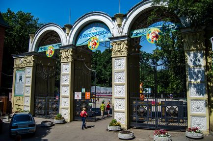 Parcul Lukomorye - Parcul Central Saratov, unde să mergeți cu copiii
