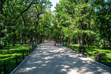 Parcul Lukomorye - Parcul Central Saratov, unde să mergem cu copiii