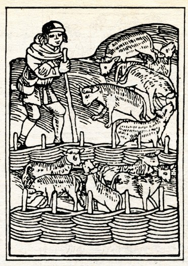 Shepherd-vrăjitor - misticism - știri