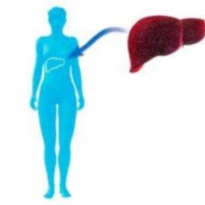 Transplantul de ficat cu ciroză, cancer și hepatită c (transplant hepatic cu hepatită c) Transplant hepatic pentru ciroză, cancer și hepatită cu