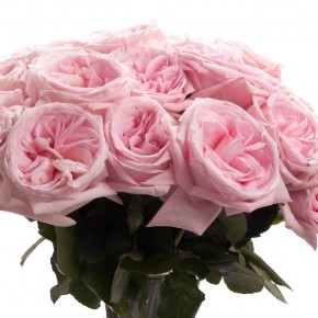 Піоновідние троянди для прикраси весілля, букет