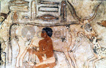 Alimente în Egiptul antic - enciclopedia Egiptului antic