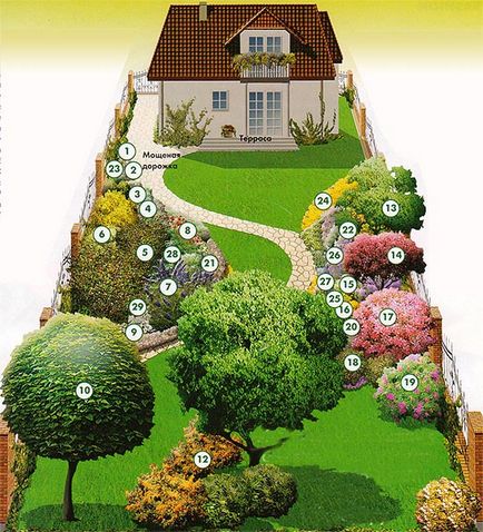 Un plan pentru plantarea arborilor de arbusti și flori, idei de design suburbane și sfaturi pentru case și cabane