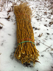 Wicker tipuri de garduri de garduri din scânduri, crengi, crengi de salcie și căpșuni